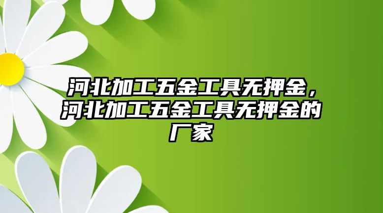 河北加工五金工具無押金，河北加工五金工具無押金的廠家