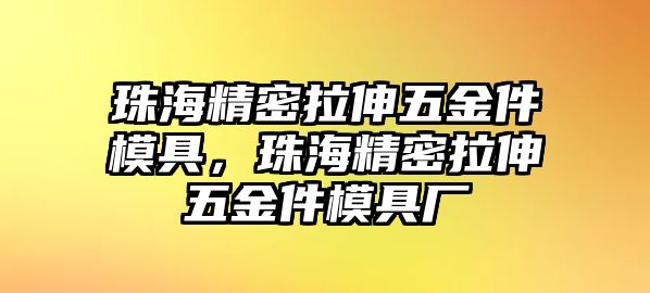 珠海精密拉伸五金件模具，珠海精密拉伸五金件模具廠